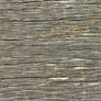 (Wood 21) dry cracked plank tree bark texture