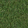 (GRASS 3) turf lawn green ground field texture