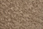 Fabric Carpet Close Texture 3888 X 2592