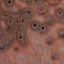 Metal Rust Plate Texture 3888 X 2592