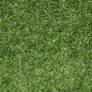 Grass Green Plastic Texture 3888 X 2592