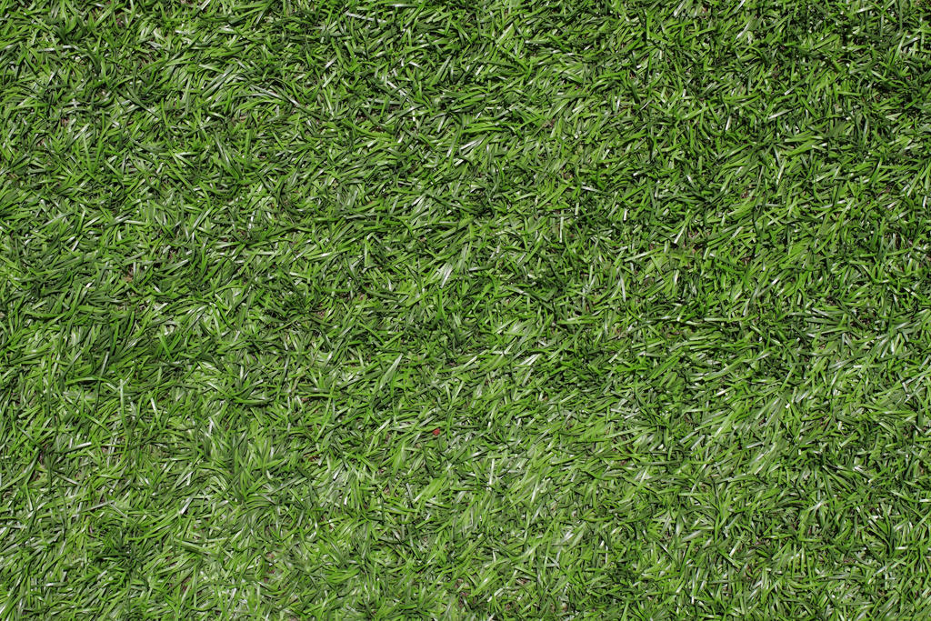 Grass Green Plastic Texture 3888 X 2592