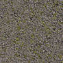 Asphalt Moss Texture 3888 X 2592