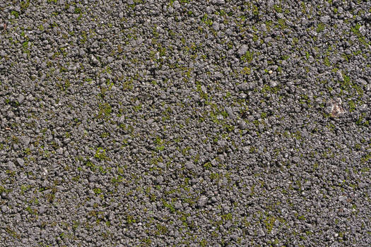Asphalt Moss Texture 3888 X 2592