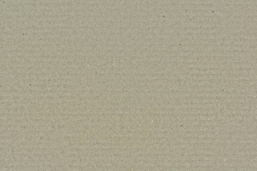 Cardboard Light Brown Texture 3888 X 2592