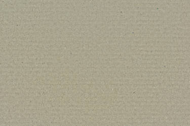 Cardboard Light Brown Texture 3888 X 2592