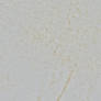 Cardboard White Dirty Grain Texture 4928 X 3264
