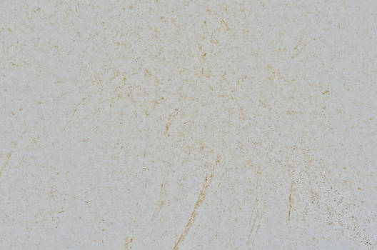 Cardboard White Dirty Grain Texture 4928 X 3264