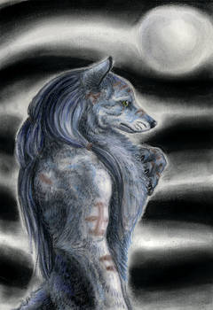 Wolf Pastel Practice