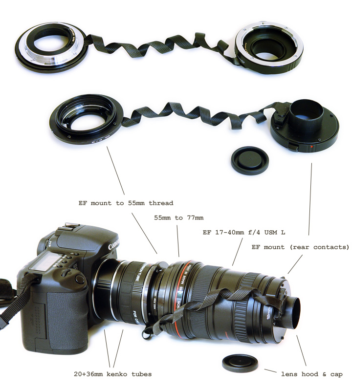 reversed EF lens macro setup