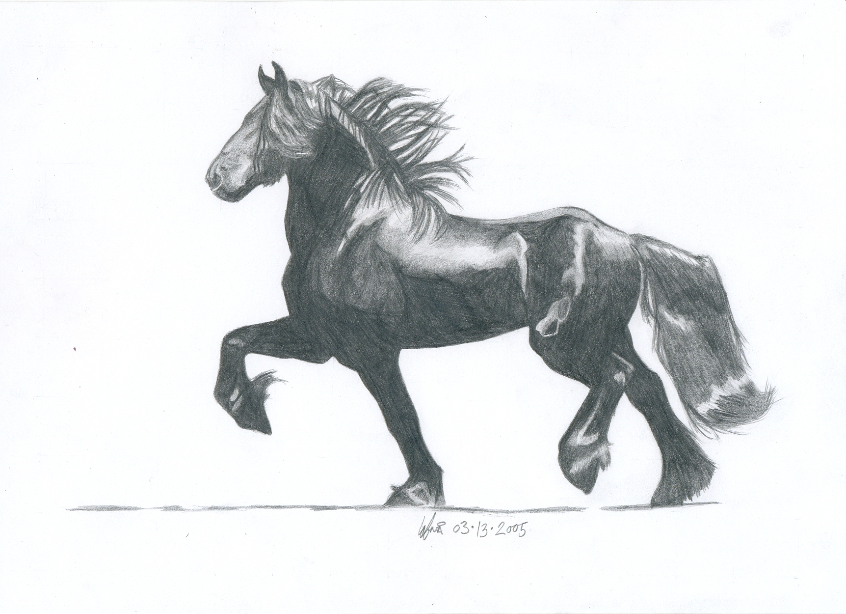 Friesian