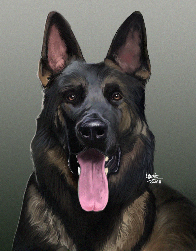 Deviantart Baron Ruber Baron by YOB on DeviantArt