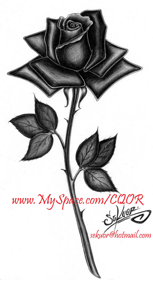 Rosa Negra by SEKUOR on DeviantArt