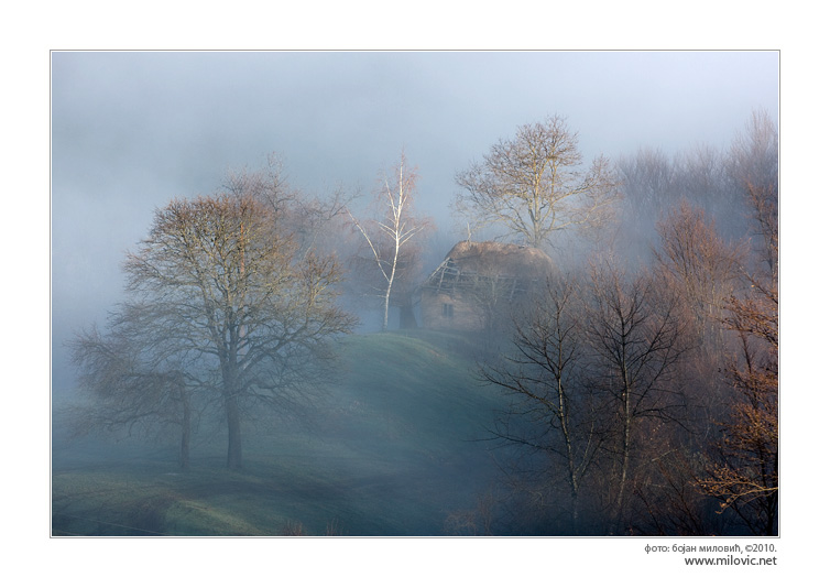 Morning fog