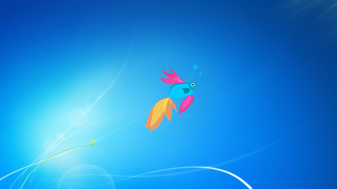 Windows Fish Computer Theme Fish Wallpaper For Windows 7 Canada Copepods About Us