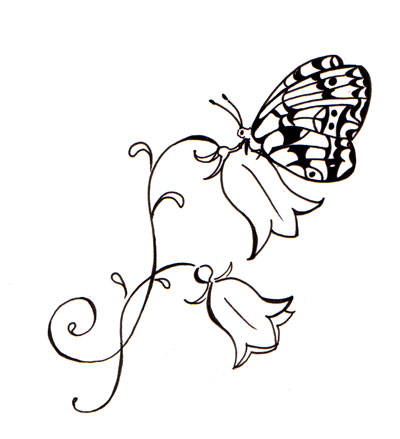 butterfly on a hairbell