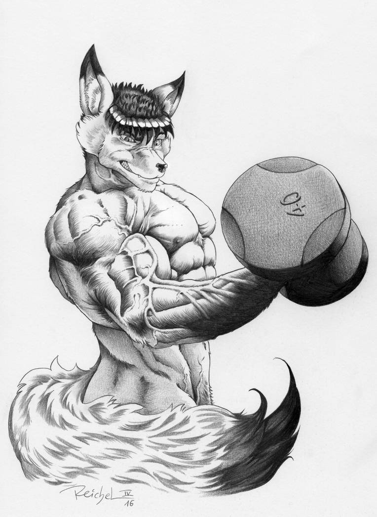 Darkfox Link Darkfox Link