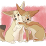 ~Fennec Snuggles~