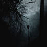 Greet the Night