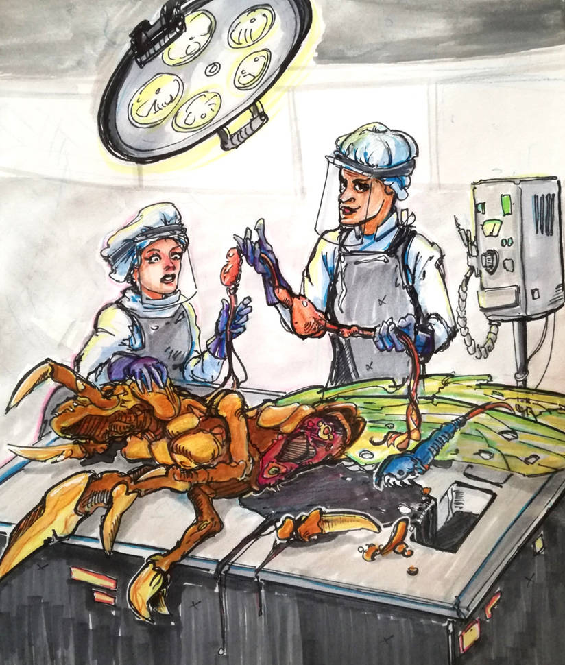 Zerg dissection by england32 on DeviantArt