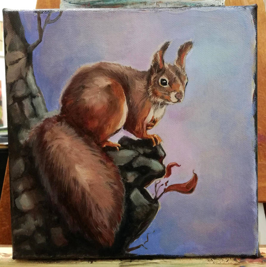 Squirrel Deviantart Squirrel Nr2 by england32 on DeviantArt