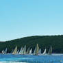 Sail boats1