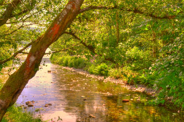 Tranquility by Coniston