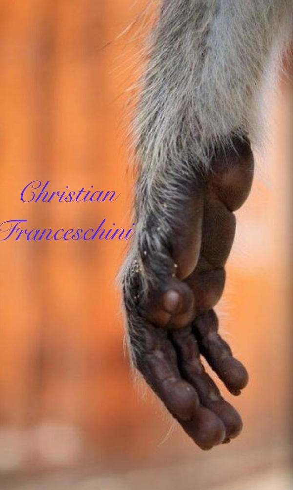 The monkey hand by ChristianFranceschin on DeviantArt
