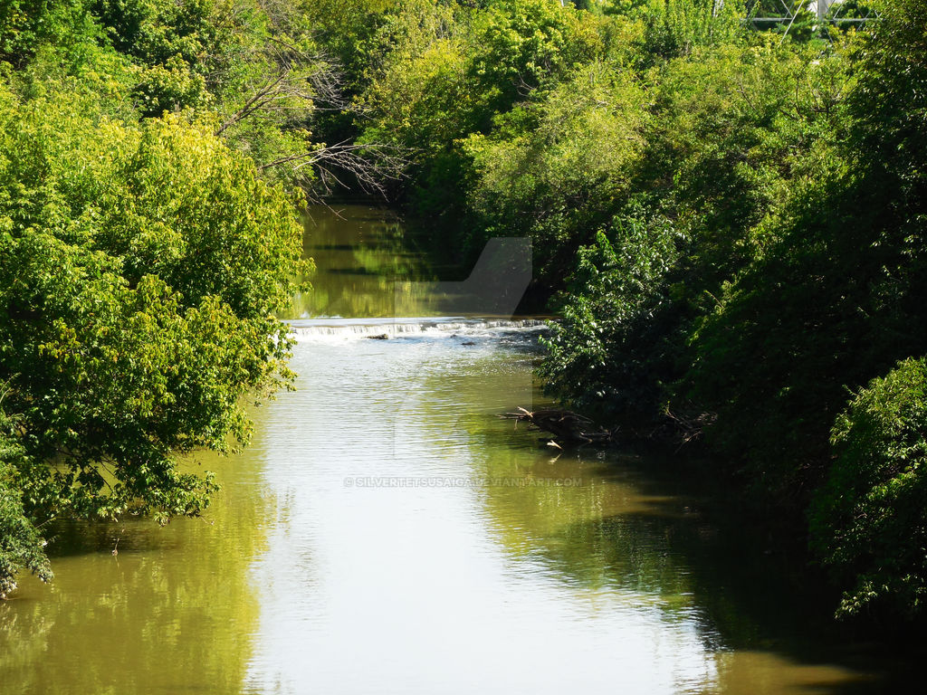 Calm Waters