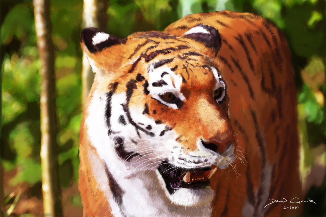 Tiger Painting