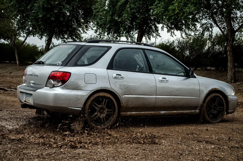 Luna the Subie