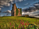 Ballycarberry Castle by Chris21465