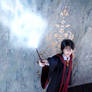 Harry Potter - 07