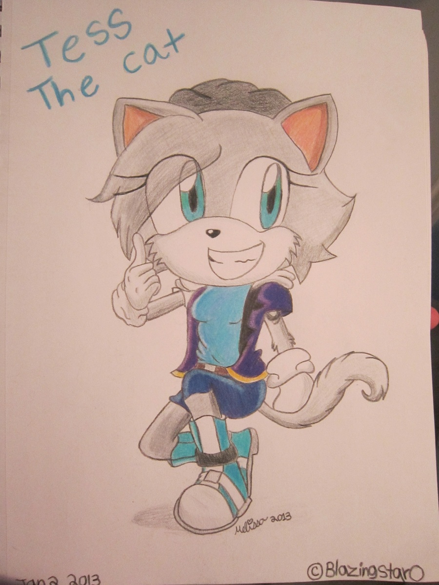 Tess the cat (request)