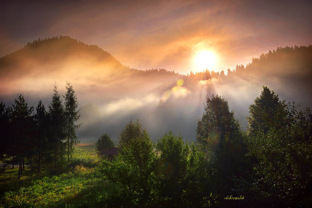 morning fog by hotonpictures morning fog by hotonpictures