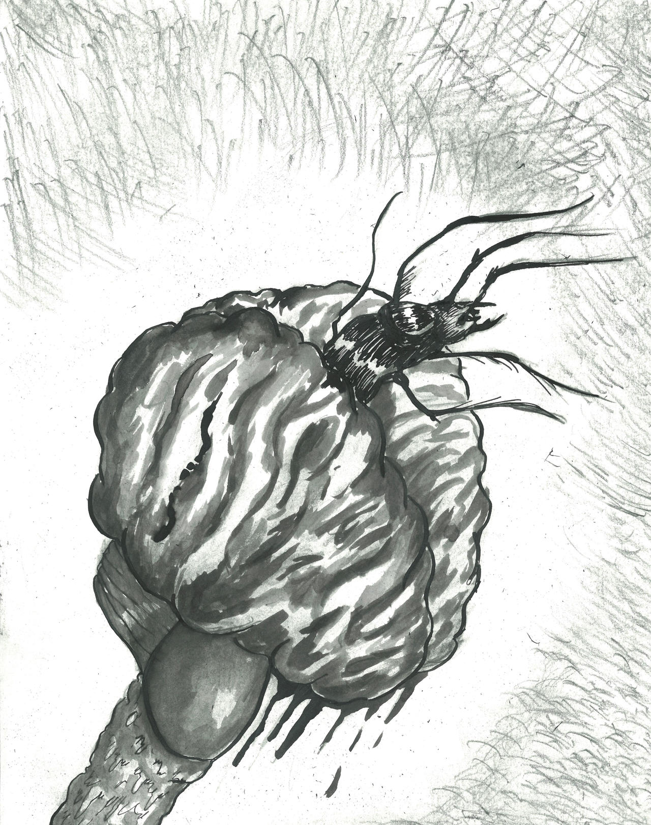 The Insect God Drawing Inked by MrRemoraman on DeviantArt