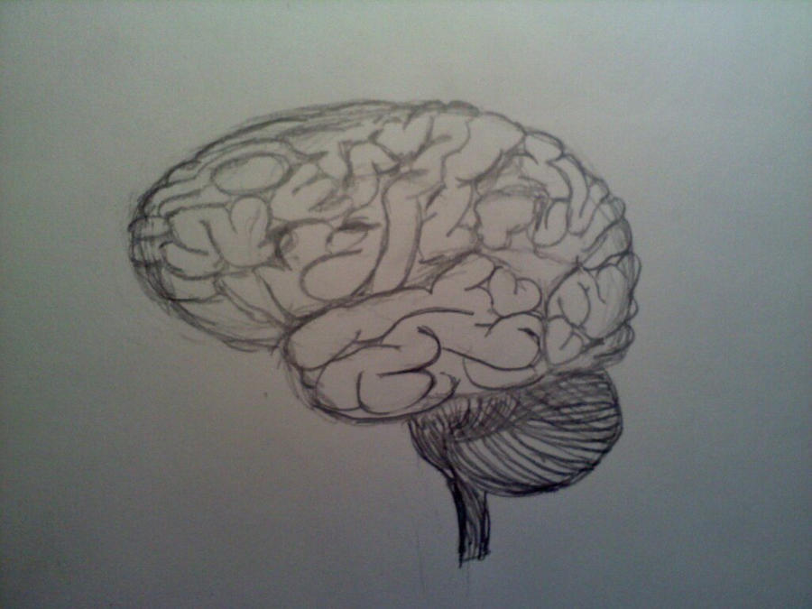 Brain by WickNasty on DeviantArt