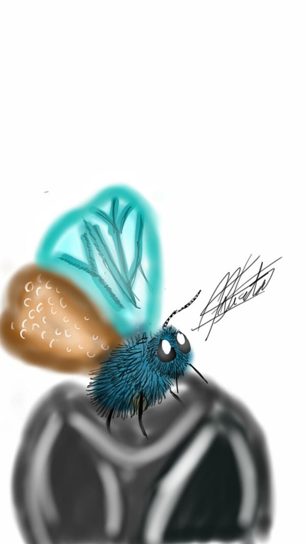 Fly Bug Deviantart FLYING INSECT by rucky345456 on DeviantArt