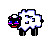 sheep for my synconi