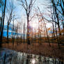 Poetry In Reflection