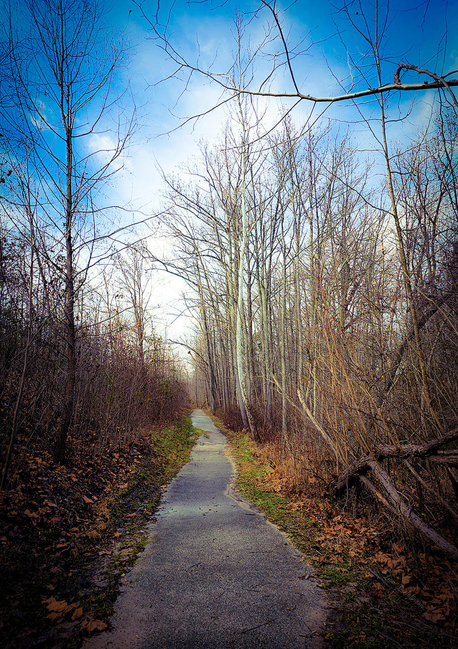 Pathway Poetry by ArrowThruTheArt on DeviantArt