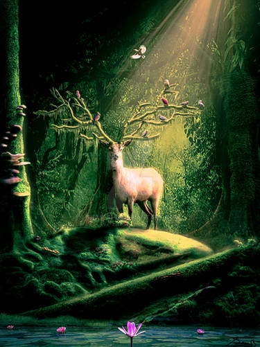 Forest Deer