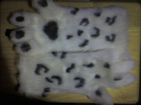 Snow Leopard Paws