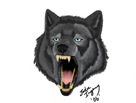 Wolf Head