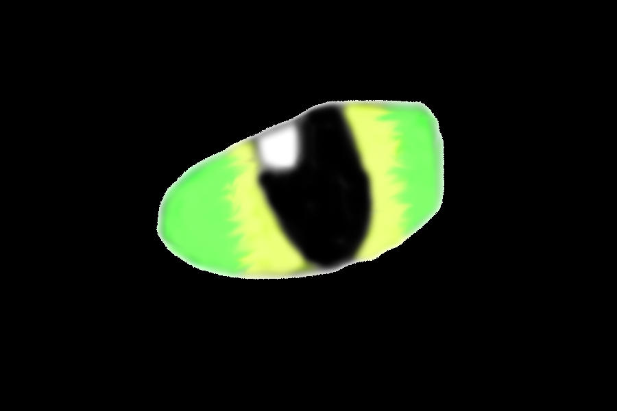 Toothless Eye by ZephyrSharaX on DeviantArt