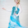 Frozen: Elsa 3