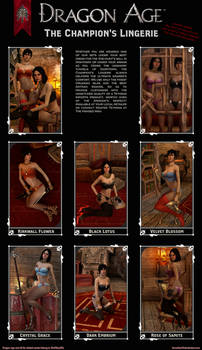 Dragon Age 2 The Champion's Lingerie