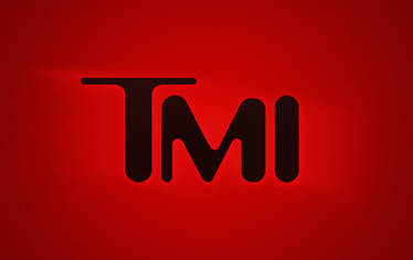 Too Much Zones - Brand Mashups