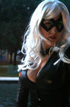 black cat by courtenei