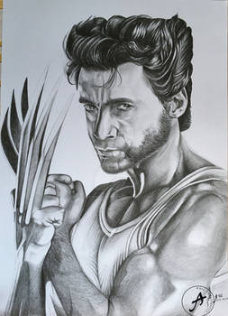 Wolverine/Logan (Hugh Jackman)